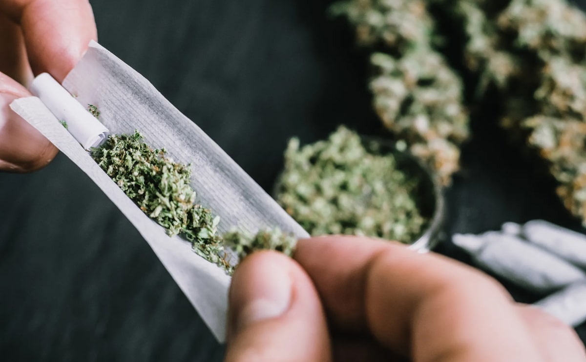 medical marijuana blog img 3