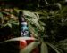 medical marijuana blog img 8