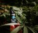 medical marijuana blog img 8